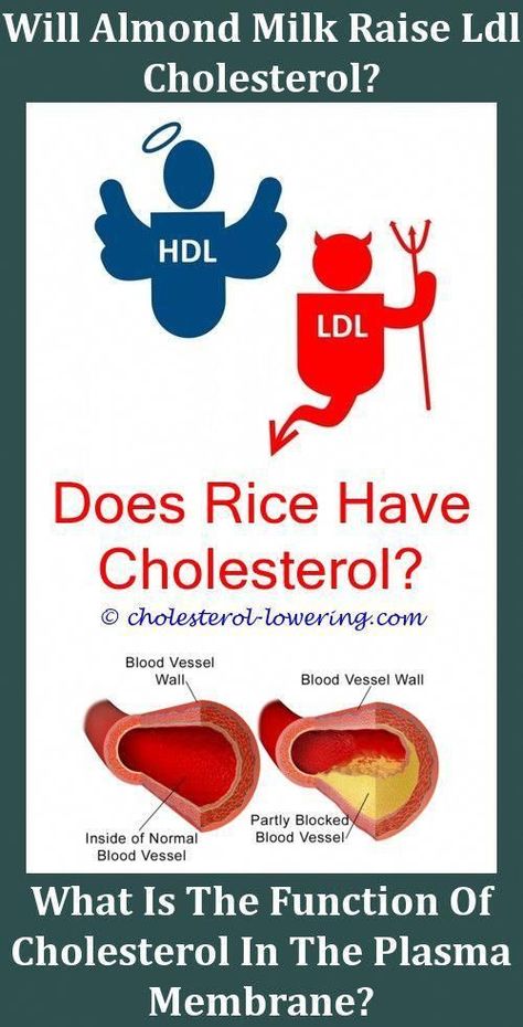 10 Diligent Tips: Cholesterol Detox Healthy Food hdl cholesterol blood ...