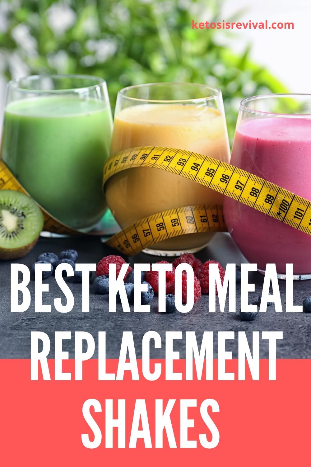 Best Keto Meal Replacement Shakes in 2020