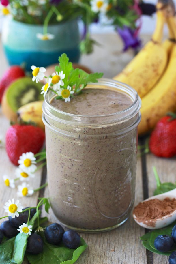 Chocolate Blueberry Spinach Protein Smoothie Recipe
