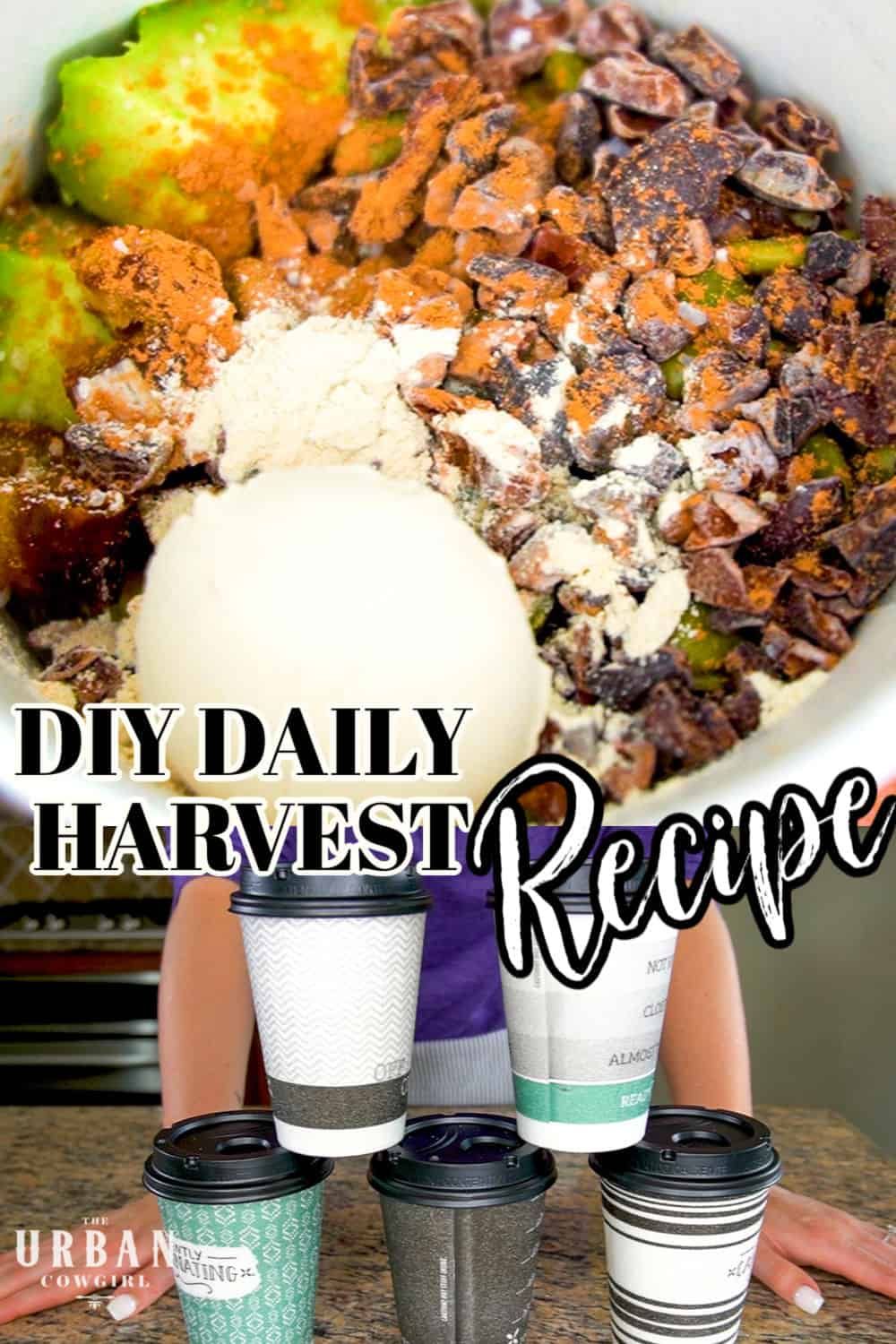 DIY Daily Harvest Avocado Cacao Smoothie Recipe in 2020 ...