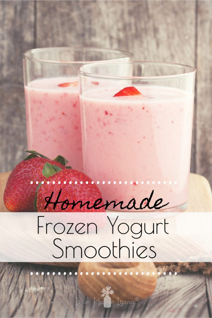 Frozen Yogurt Smoothie Recipe