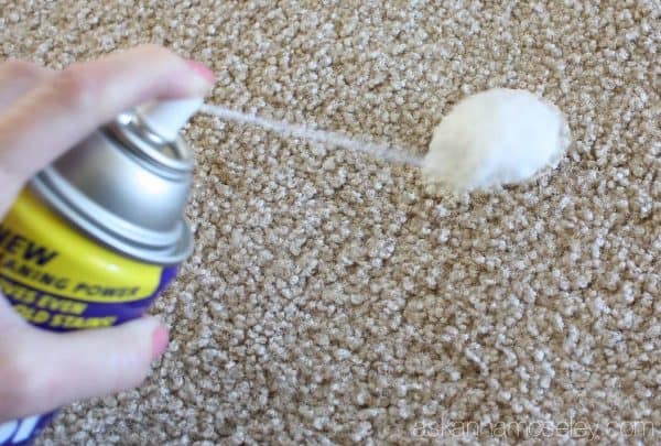 How to get Stains out of Carpet (old, new &  pet stains)