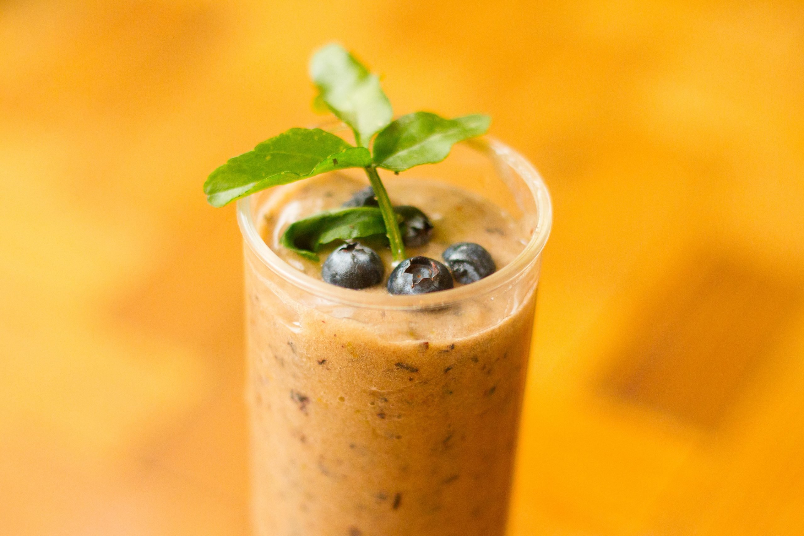 How to Make a Non Dairy Banana Blueberry Smoothie: 9 Steps