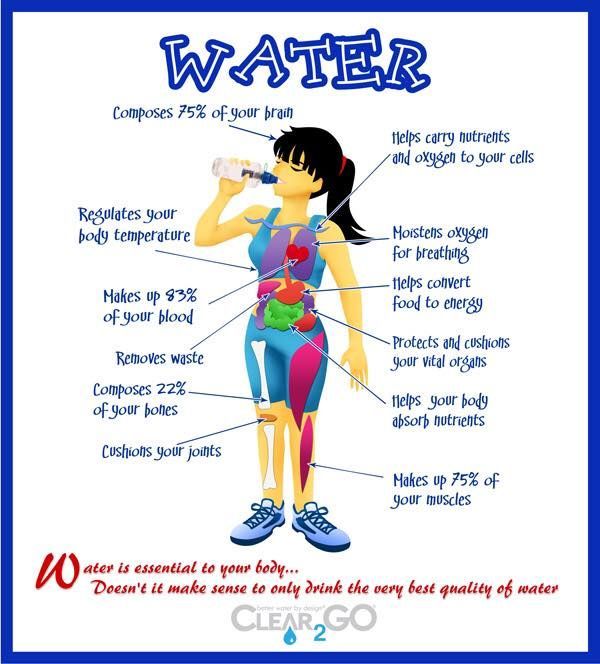 How To Stay Hydrated and Drink More Water