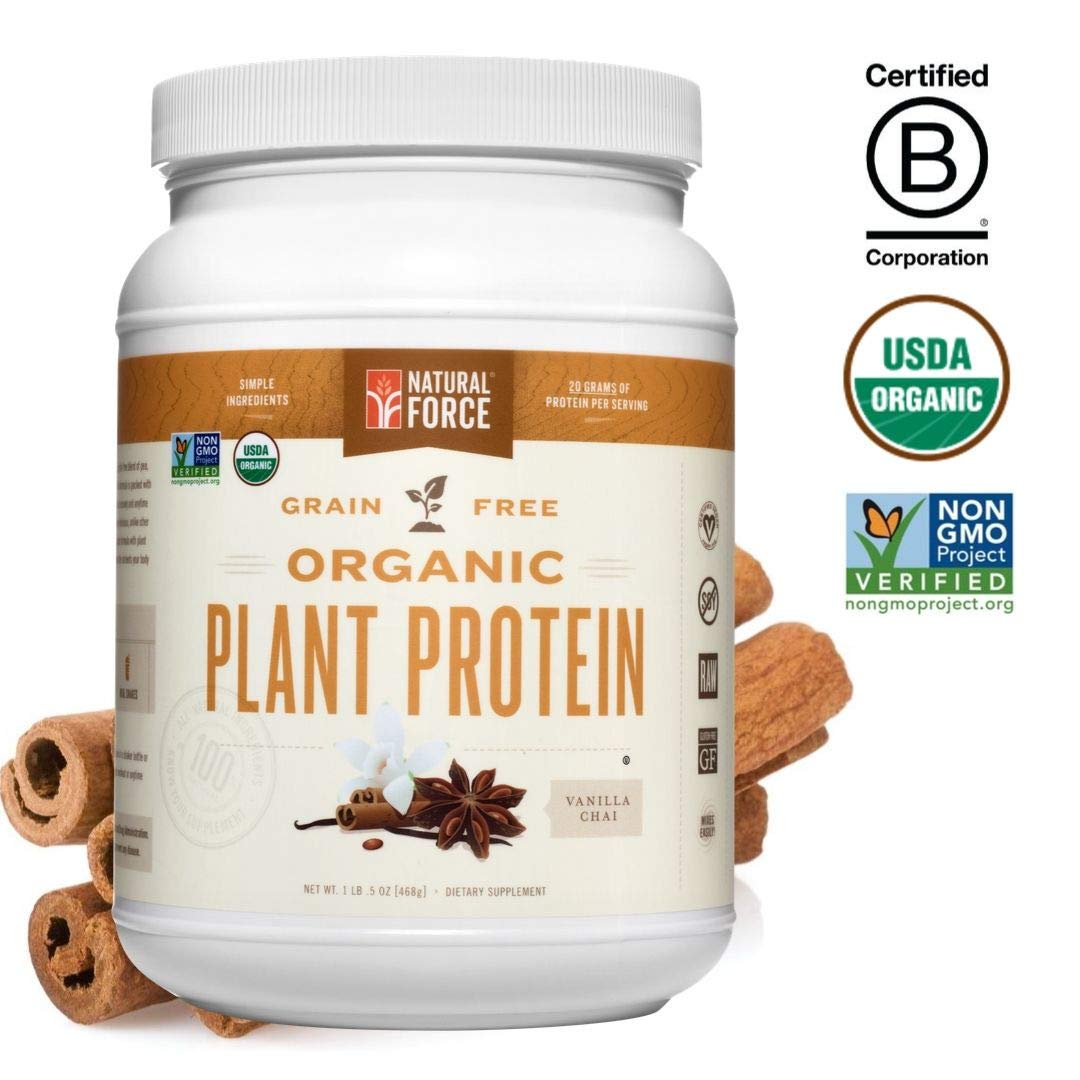 Organic Plant Protein Chocolate Mint Best Tasting Vegan Protein Powder ...